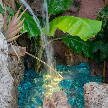 Flowers In The - Elegant In * Argostoli (Kefalonia)