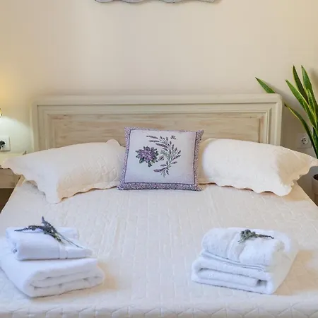 Flowers In The - Elegant In Casa de Férias