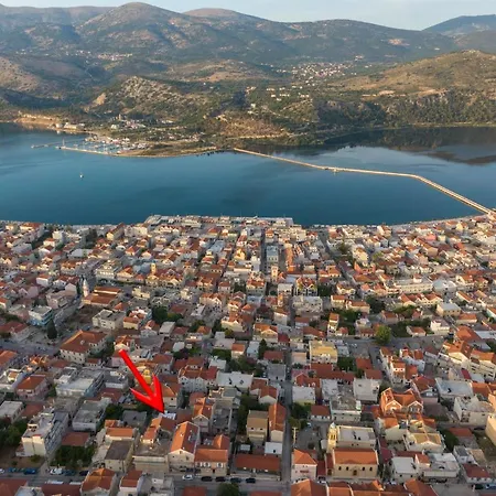 Flowers In The - Elegant In