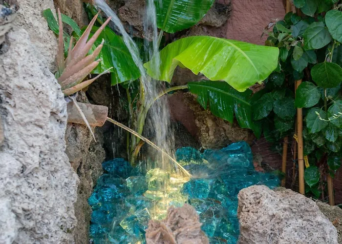 Flowers In The - Elegant In * Argostoli (Kefalonia)