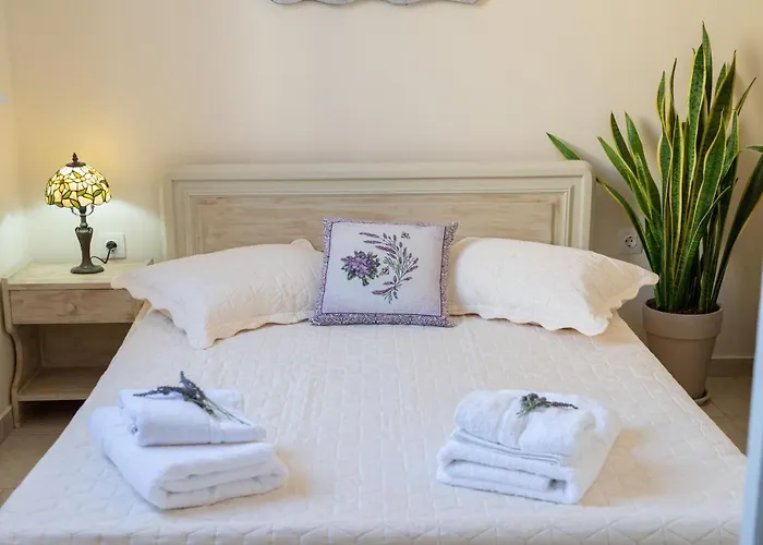 Flowers In The - Elegant In Casa de Férias