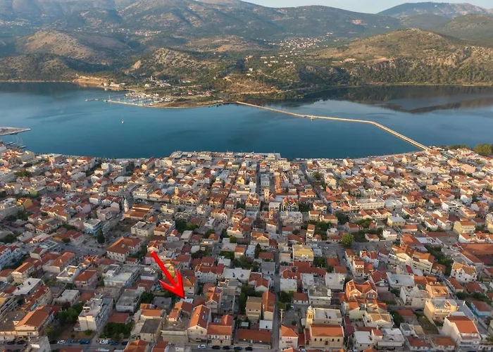 Flowers In The - Elegant In