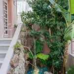 Flowers In The - Elegant In * Argostoli (Kefalonia)