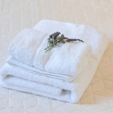 Flowers In The - Elegant In * 阿尔戈斯托利翁