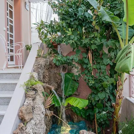 Flowers In The - Elegant In * Argostoli (Kefalonia)